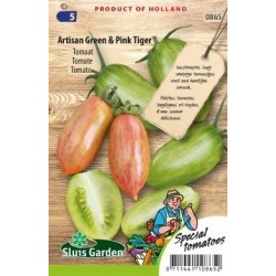 tomate artisan Green & Pink Tiger
