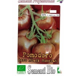 semillas ecologicas de tomate cherry negro