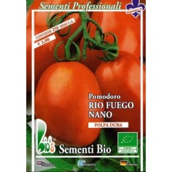 tomate Rio fuego (rio Grande)  (semillas ecolÃ³gicas)