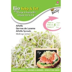 brotes de alfalfa ecolÃ³gicos