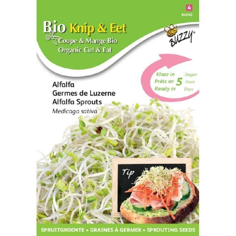 brotes de alfalfa ecolÃ³gicos