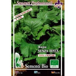 nabo de grelos San Cosme (semillas ecologicas)