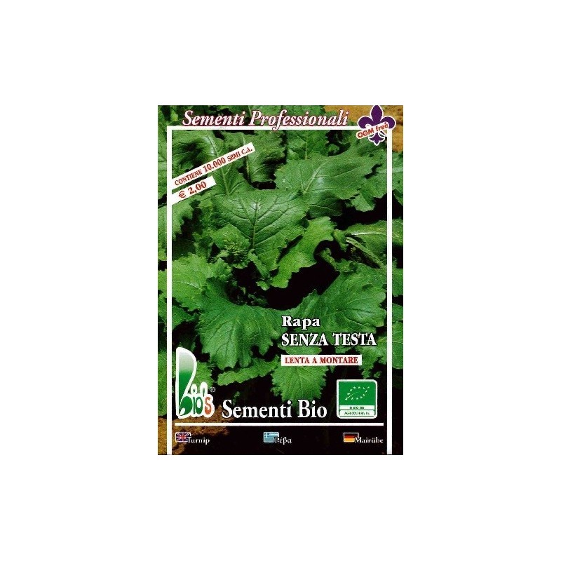 nabo de grelos San Cosme (semillas ecologicas)