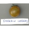 tomate emerald cherry (semillas ecolÃ³gicas)