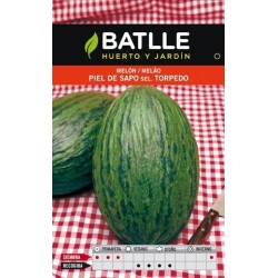 melÃ³n piel de sapo - sel. torpedo