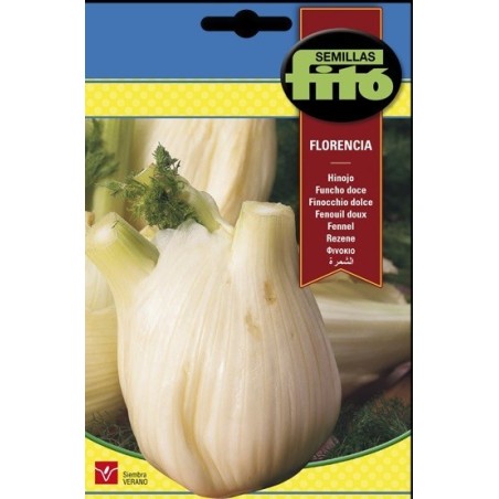 hinojo de Florencia