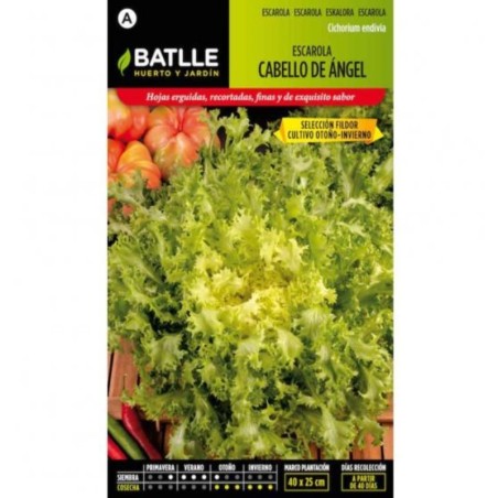 escarola cabello de angel sel Fildor