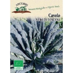 kale nero di Toscana - semillas ecologicas Arcoiris