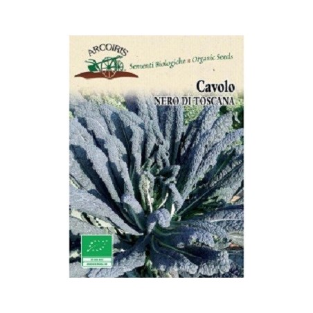 kale nero di Toscana - semillas ecologicas Arcoiris