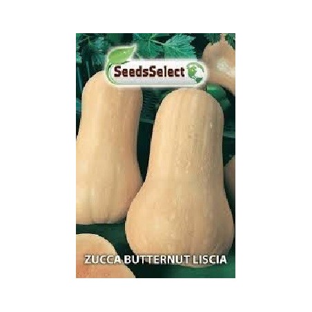 calabaza butternut