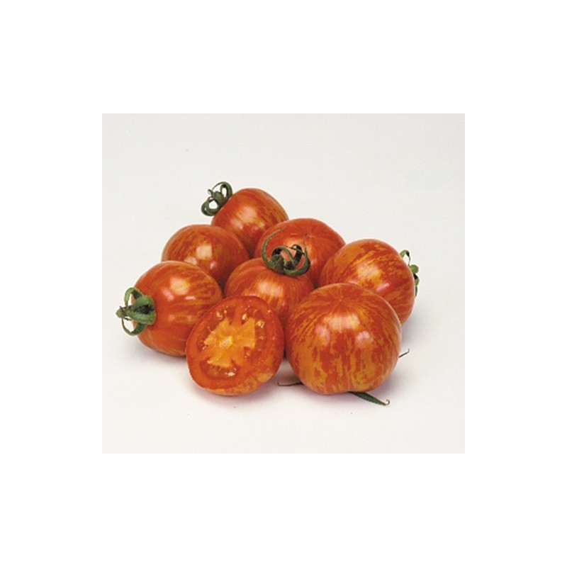 Tomate red zebra f1 - semillas  sin tratamiento