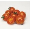 Tomate red zebra f1 - semillas  sin tratamiento