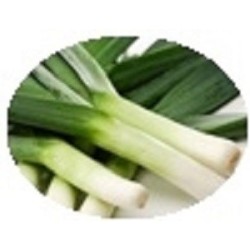 puerro blue de solaise (semillas no tratadas)