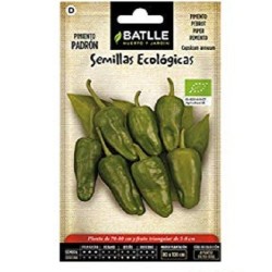 pimiento de PadrÃ³n - semillas ecolÃ³gicas