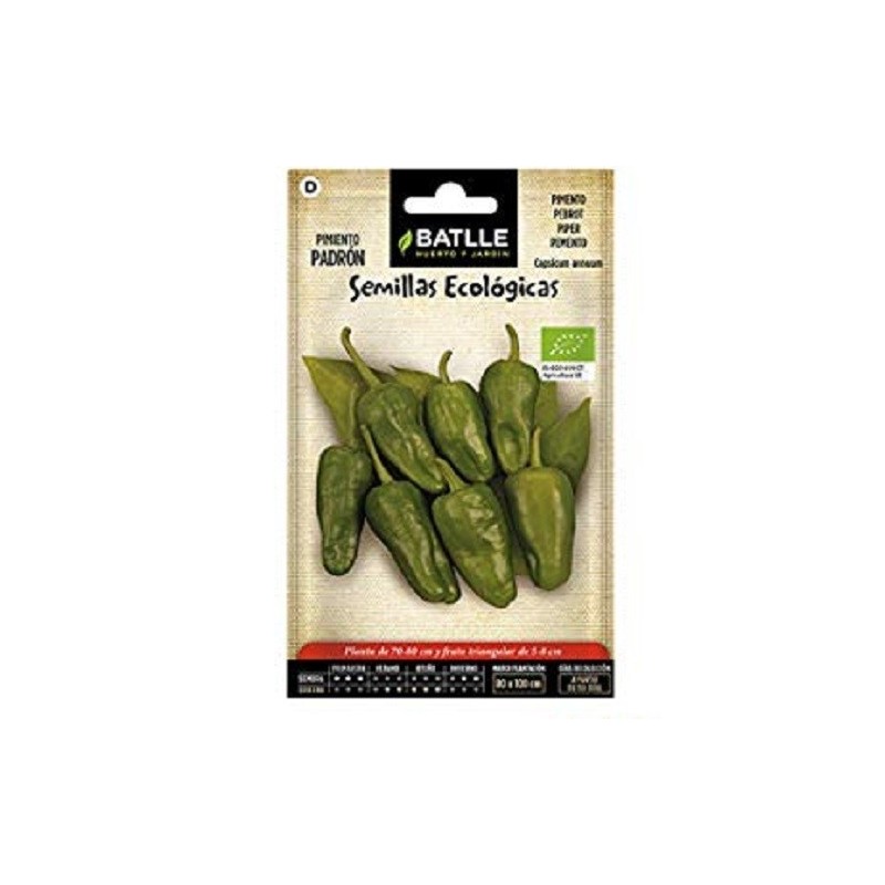 pimiento de PadrÃ³n - semillas ecolÃ³gicas