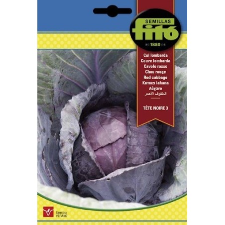 Repollo morado - col lombarda Tete noire 3
