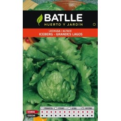 lechuga grandes lagos
