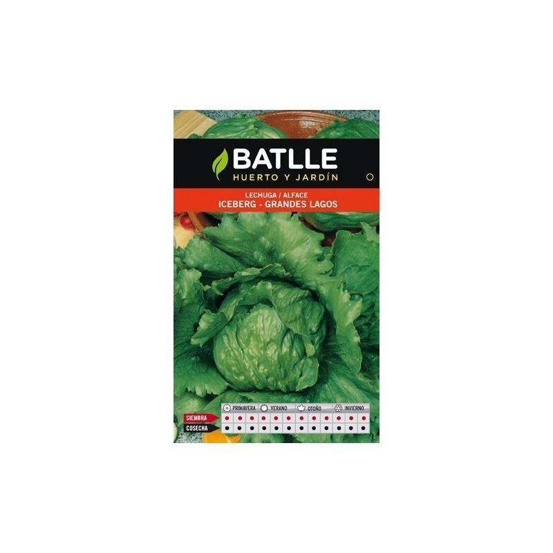 lechuga grandes lagos