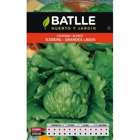 lechuga grandes lagos