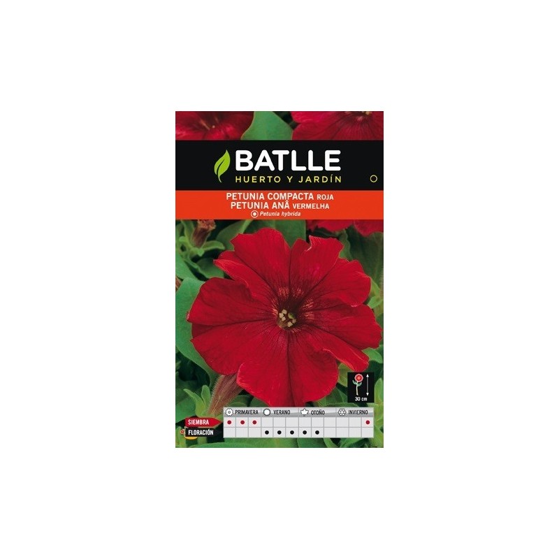 petunia compacta roja