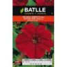 petunia compacta roja