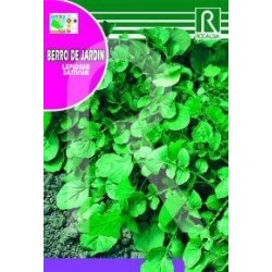 semillas de berro de jardÃ­n