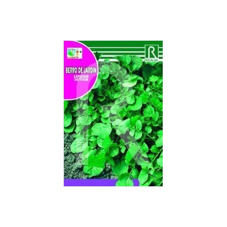 semillas de berro de jardÃ­n