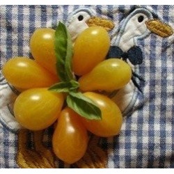 tomate polen (semillas ecolÃ³gicas)