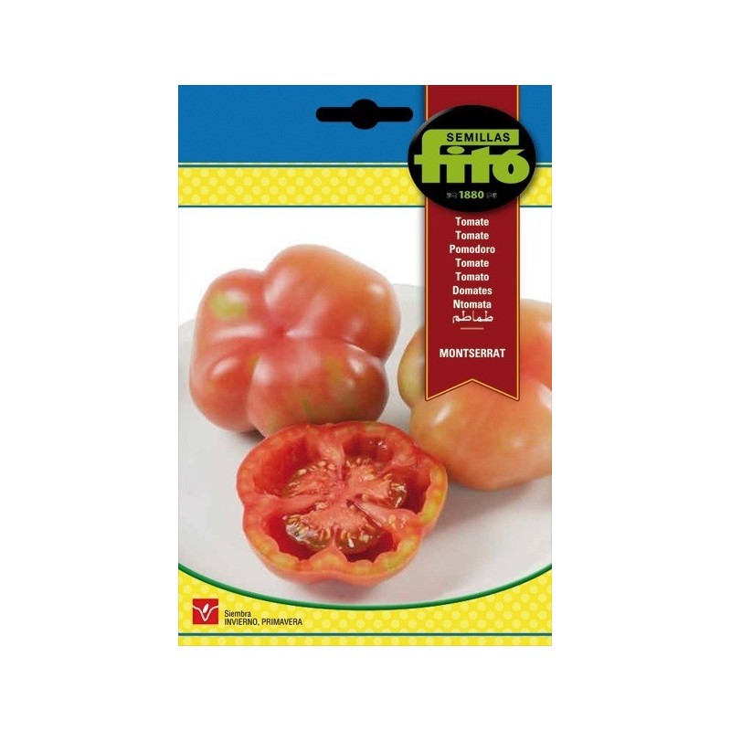 tomate Montserrat