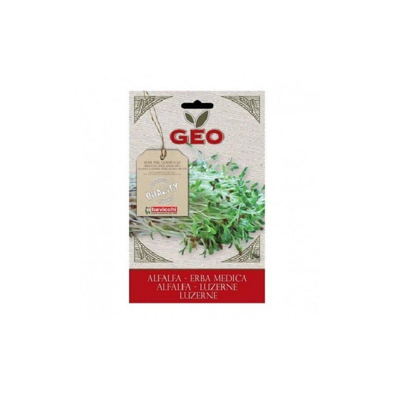 alfalfa para germinar geo