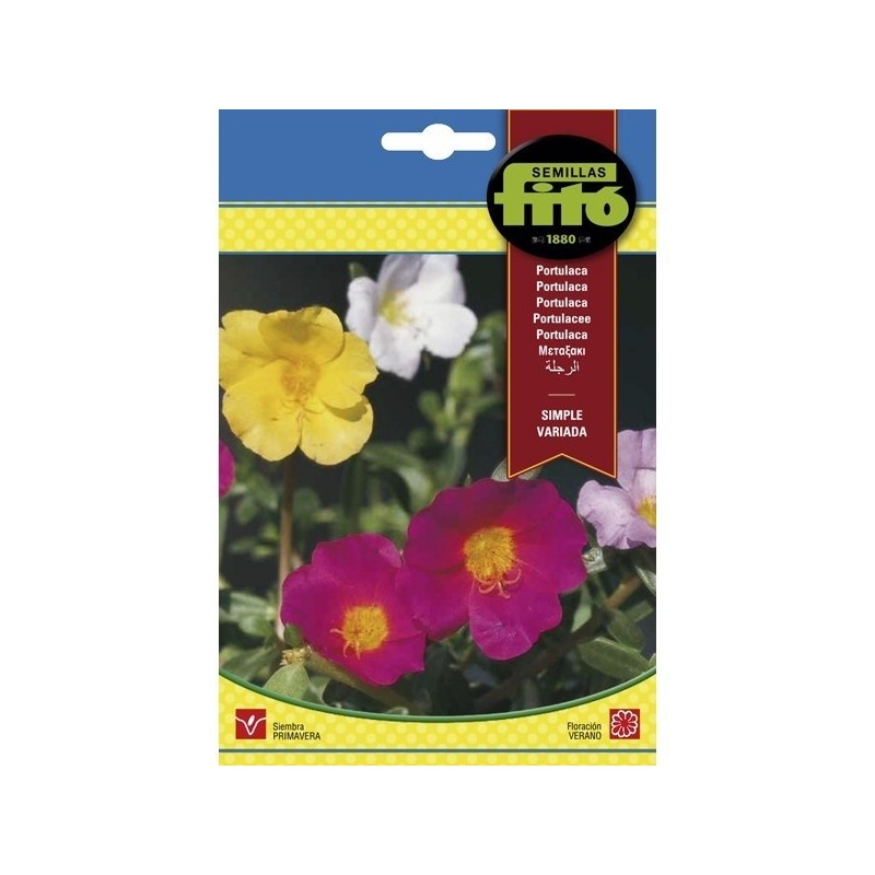 Portulaca simple variada - semillas Fito