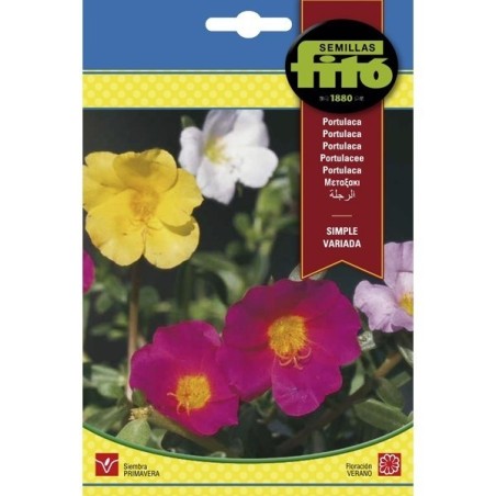 Portulaca simple variada - semillas Fito