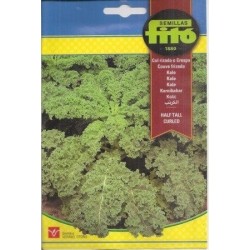 kale half tall curled - col rizada