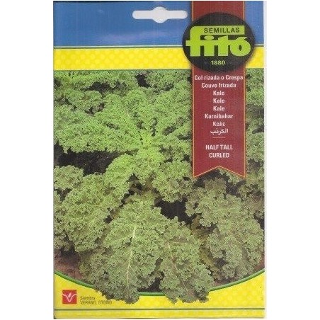 kale half tall curled - col rizada