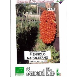 tomate piennolo napolitano (semillas ecolÃ³gicas)