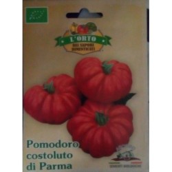 tomate costoluto di Parma (semillas ecolÃ³gicas)