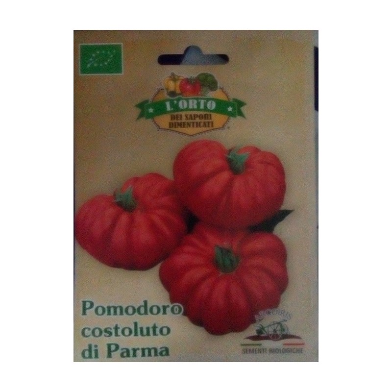 tomate costoluto di Parma (semillas ecolÃ³gicas)