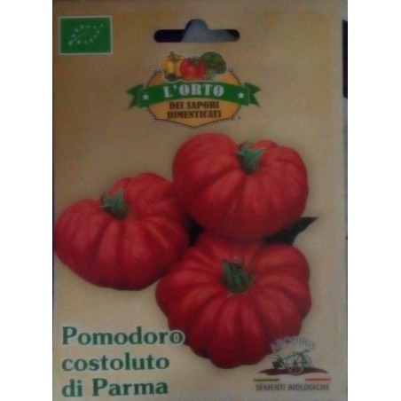 tomate costoluto di Parma (semillas ecolÃ³gicas)