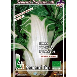 acelga de penca blanca argentata - semillas ecolÃ³gicas