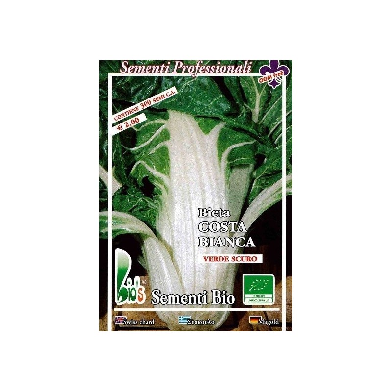 acelga de penca blanca argentata - semillas ecolÃ³gicas