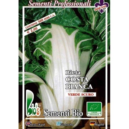 acelga de penca blanca argentata - semillas ecolÃ³gicas