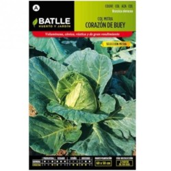 repollo corazÃ³n de buey Sel. Mitra