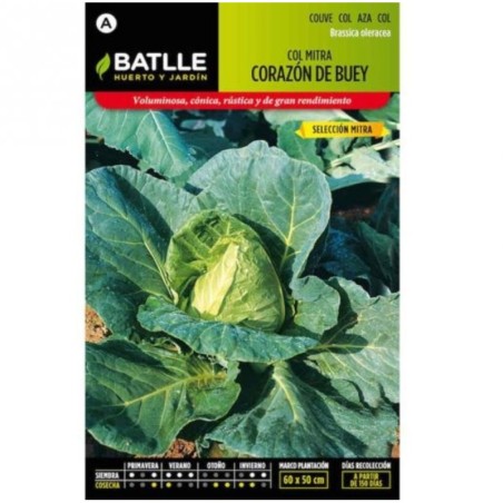repollo corazÃ³n de buey Sel. Mitra
