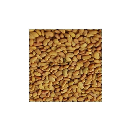 alfalfa para germinados (semillas ecolÃ³gicas)