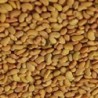 alfalfa para germinados (semillas ecolÃ³gicas)