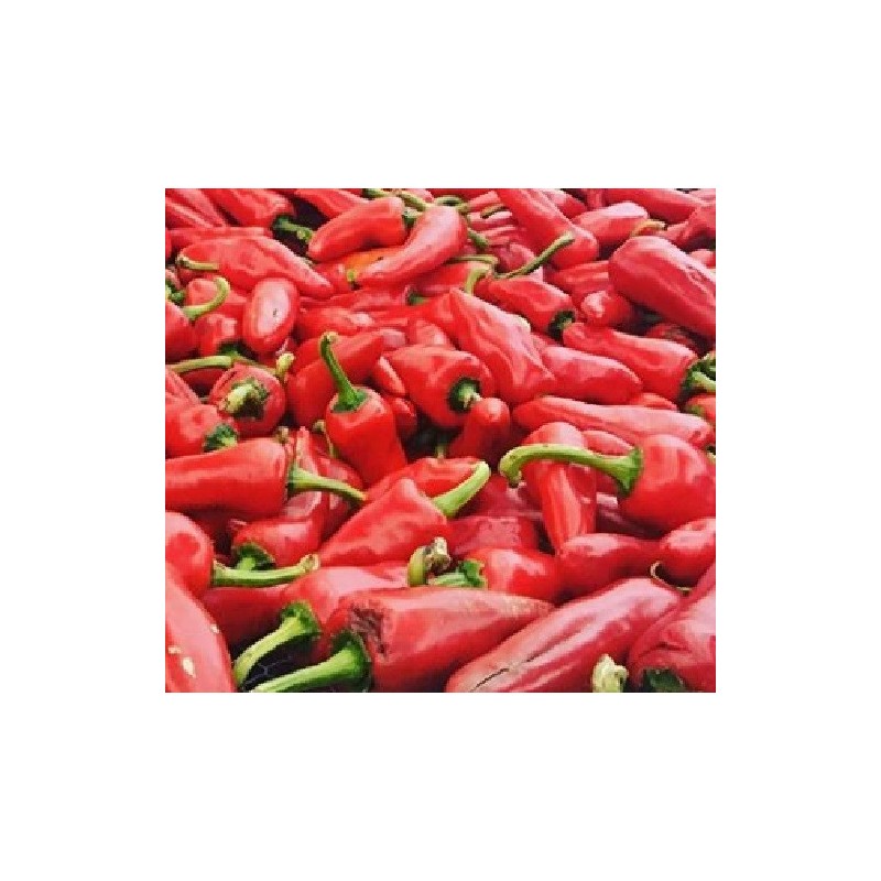 pimiento de Espelette - semillas sin tratamiento