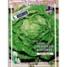 lechuga maravilla de invierno 'Val D'Orge' - semillas ecolÃ³gicas