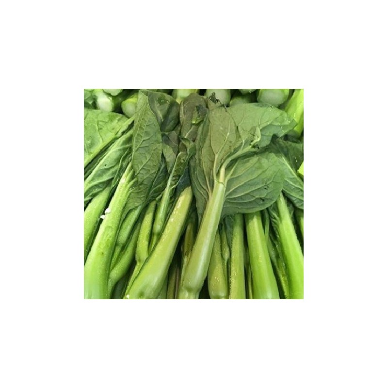 choy sum fuubi - semillas no tratadas