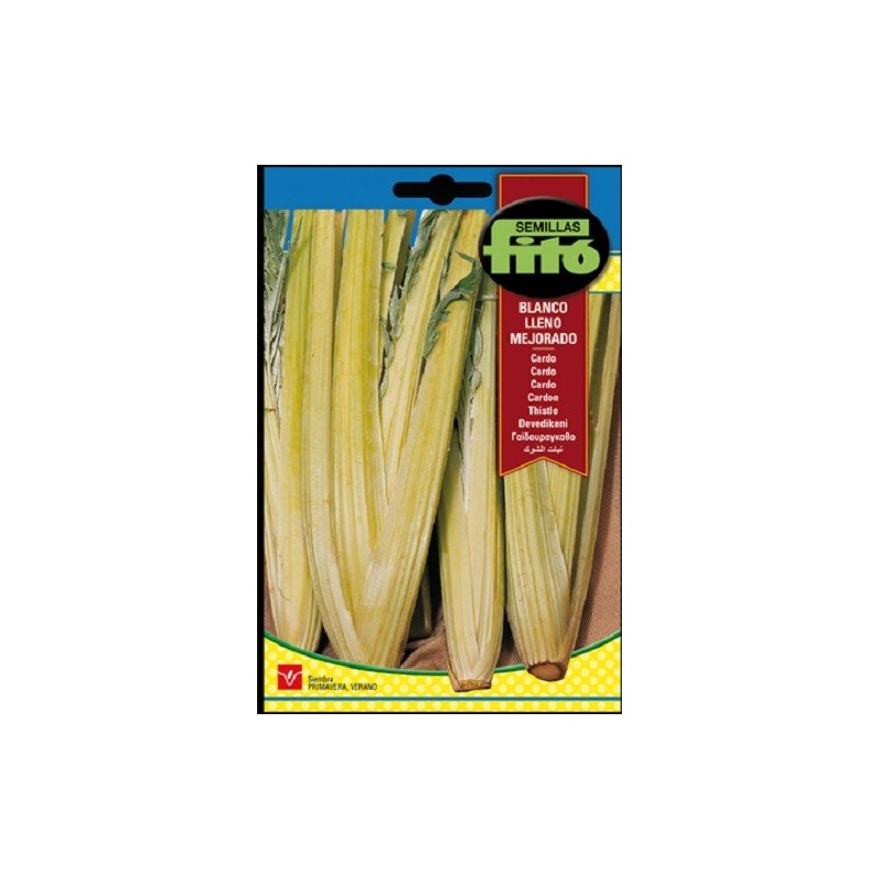 cardo blanco lleno mejorado
