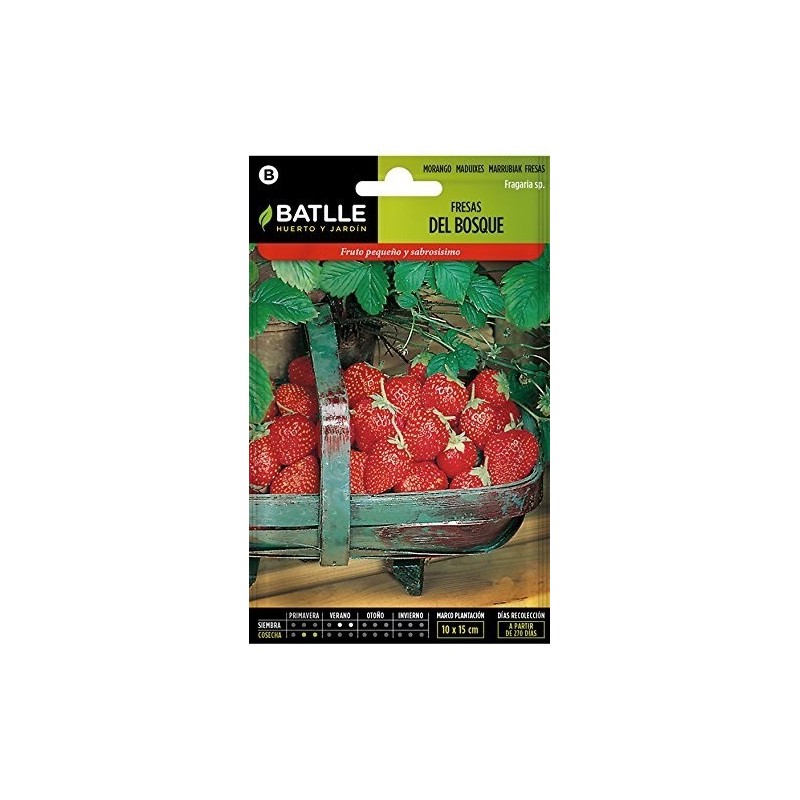 fresas del bosque batlle